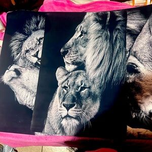 3 awesome pieces of wall canvas not framed